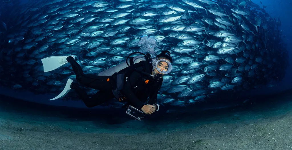 Actividades acuáticas los cabos